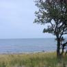 images/Schweden/Schweden 2009/IMG_4487.jpg